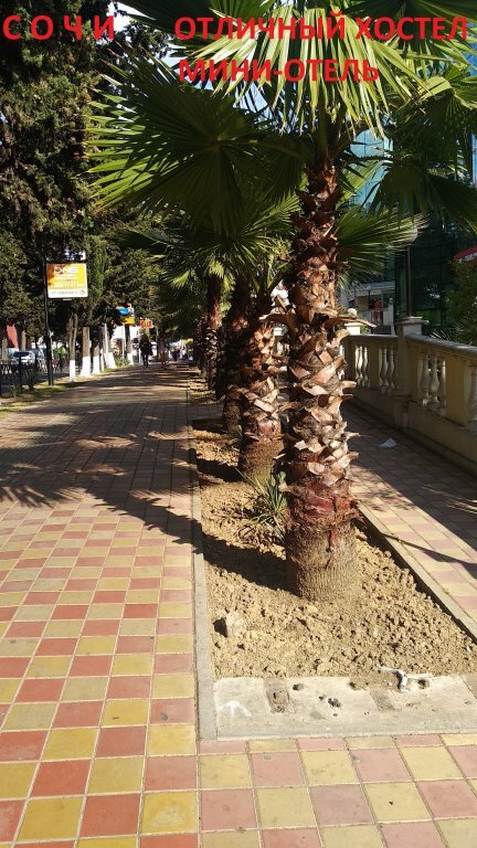 Гостиница Roof Сочи-27